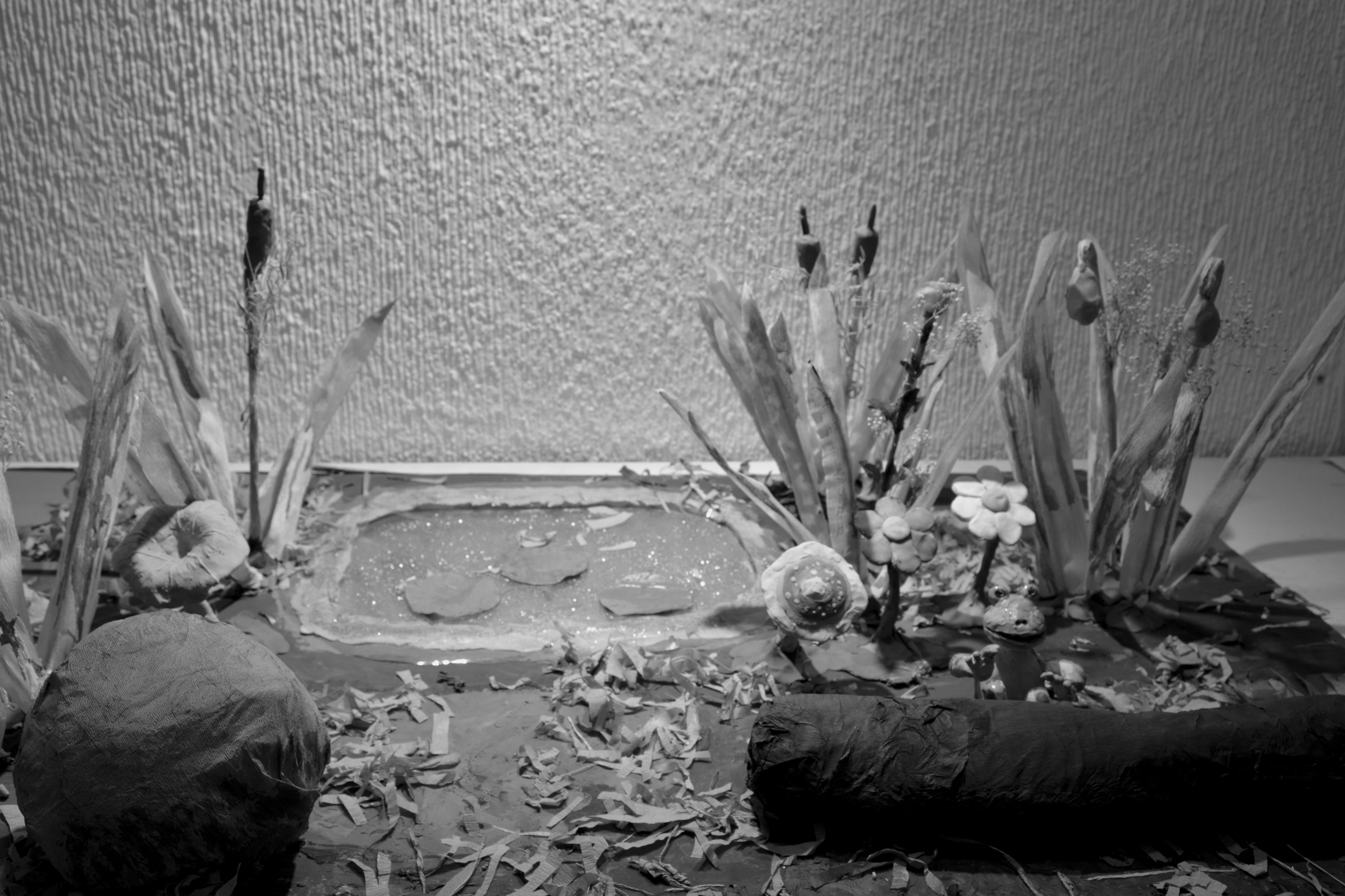 Imagen 1